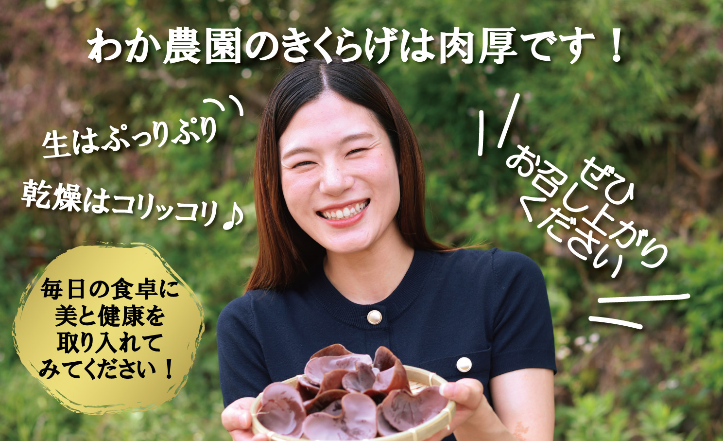 鹿児島県産天日干し乾燥きくらげ 合計200g 国産 乾燥きくらげ 野菜 きのこ 健康 食物繊維 低カロリー エムズ わか農園 サラダ みそ汁 スープ 炒め物 煮物 和え物 鹿児島県 薩摩川内市 送料無料 AS-4112