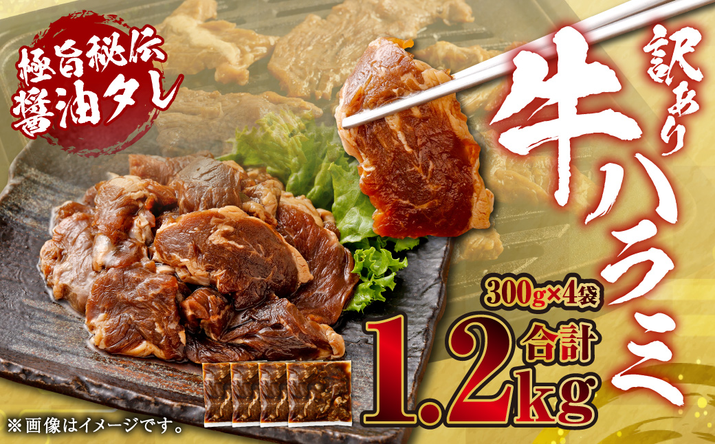 やわらか 牛ハラミ（サガリ）肉 極旨秘伝醤油タレ漬け 合計1.2kg（300g×4袋）【訳あり】ハラミ 牛肉 AS-0134