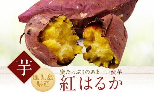 ZSR-701 紅はるか 冷凍焼き芋 1.2kg