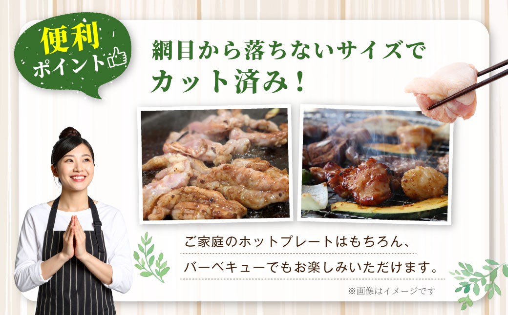 鹿児島県産 若鶏焼肉 約4.2kgセット 若鶏 もも肉 モモ肉 カット 肝 砂肝 手羽中 せせり 焼肉 小分け 鶏肉 冷凍 BS-226