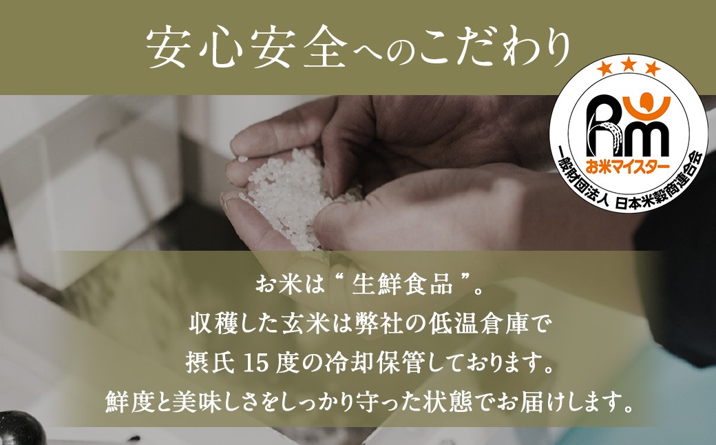 ã3åå®æäŸ¿ã 鹿å
å³¶çç£ éæç±³ ãã¬ã³ã è©æ©ãããŸãç±³ ïŒ15kgÃ3åïŒ å®æäŸ¿ ãã¬ã³ãç±³ çœç±³ ç±³ ãç±³ ããã JSR-341