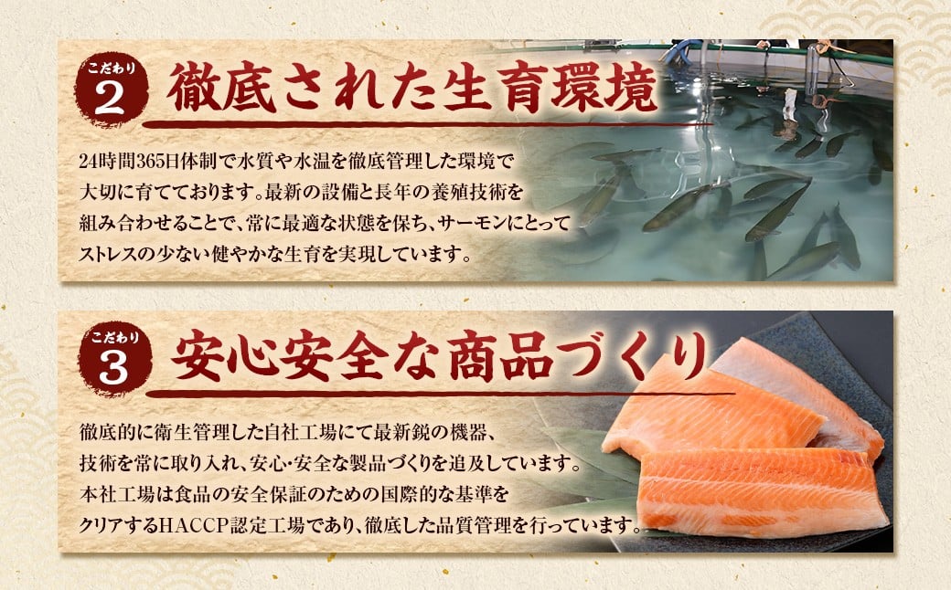 薩州サーモン 500g 鹿児島 国産 養殖 サーモン  AS-2228