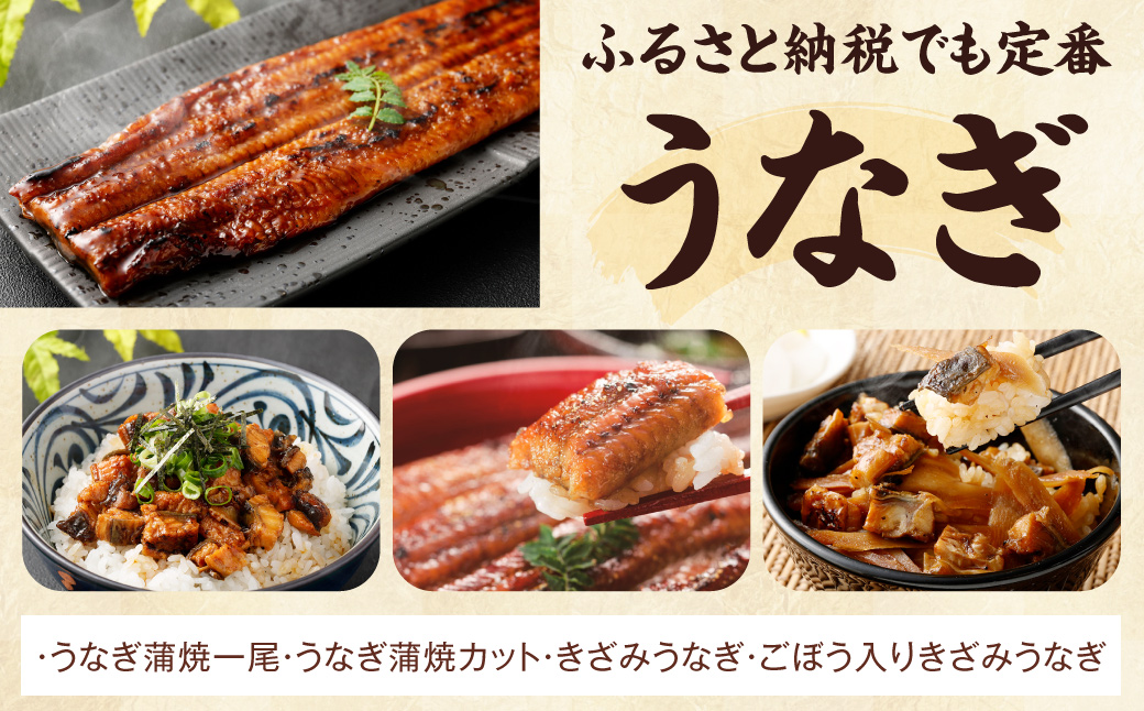 AS-086 【お楽しみ福袋B】鹿児島の美味しいが届く！5品以上