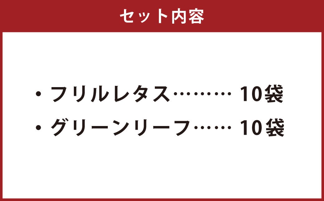 AS-0104 フリルレタス、グリーンリーフ詰合せ（20袋セット） フリルレタス グリーンリーフ 野菜 葉物 セット 朝採れ 新鮮