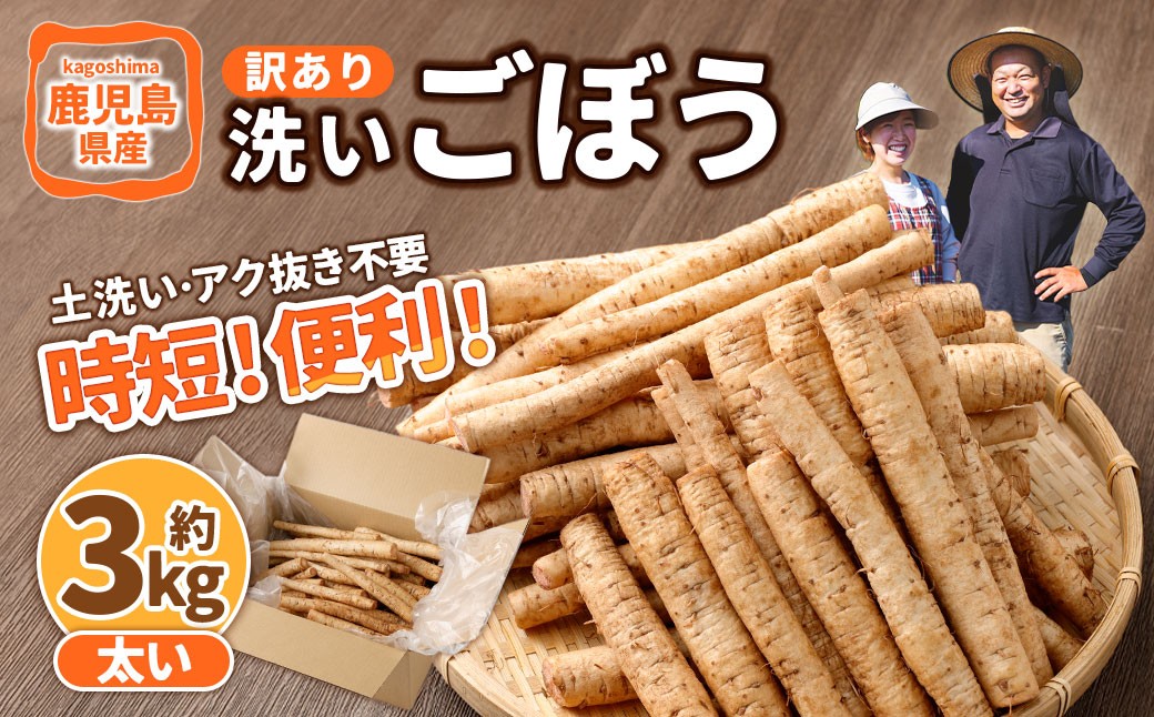 鹿児島県産 洗い【太い】 ごぼう 約3kg 【規格外・訳あり品】【2026年12月上旬-3月下旬発送予定】 ZS-9100