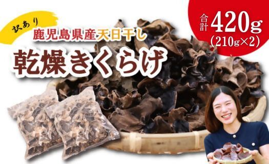 ＼"訳アリ”／鹿児島県産天日干し乾燥きくらげ 合計420g 国産 訳あり 訳アリ 業務用 乾燥きくらげ 野菜 きのこ 健康 食物繊維 低カロリー エムズ わか農園 サラダ みそ汁 スープ 炒め物 煮物 和え物 鹿児島県 薩摩川内市 送料無料 AS-9109