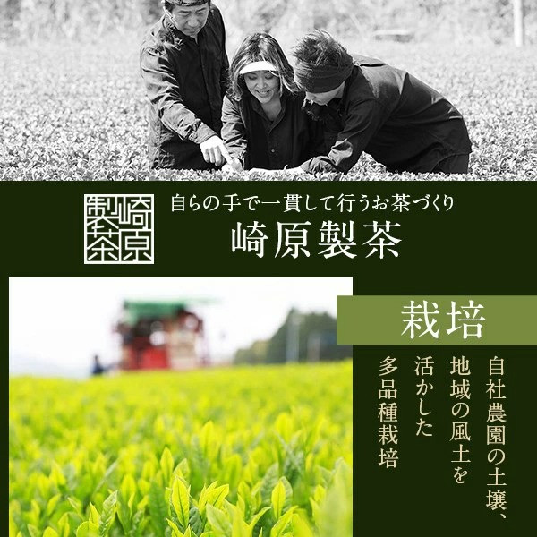 AS-430 崎原製茶 川内ほまれ【金】煎茶 計300g（100g×3パック）お茶 緑茶