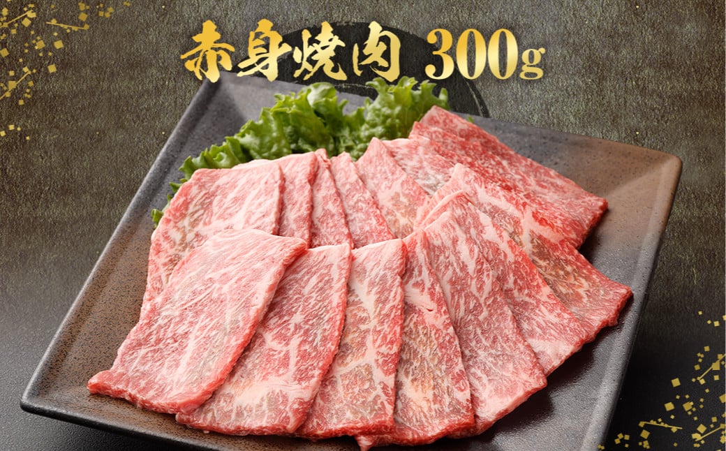CS-309 北さつま髙崎牛 焼肉食べ比べセット(2種盛り合計600g) ロース 赤身