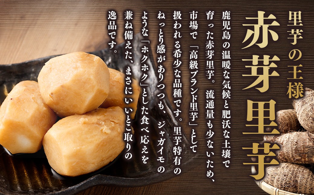 å°ãã èµ€èœéè çŽ3kg 鹿å
å³¶çç£ ãã£ãšãæ¿å äžåãªæšå³ ã2027幎1æäžæ¬ïœ3æäžæ¬çºéäºå®ã ããšãã èµ€èœ éè ZS-6144