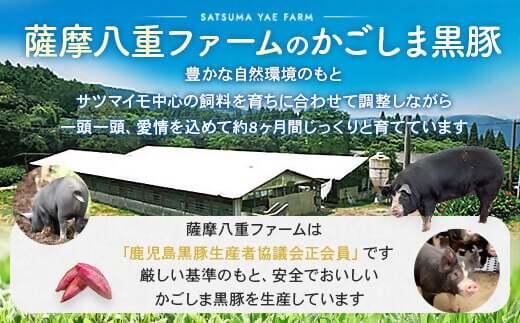 BS-839 かごしま黒豚モモ肉スライス 500g×隔月6回定期便