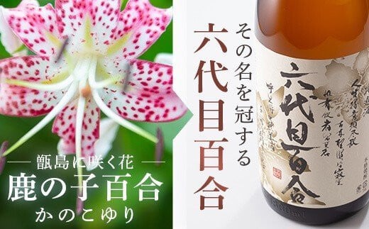 AS-2017 芋焼酎『六代目百合（25度）』1800ml 塩田酒造