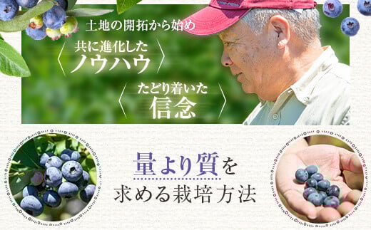 ãæ°ééå®ãå·åãã«ãŒããªãŒ 1000gïŒ500gÃ2ïŒ (B-18) AS-7101 ãµãããšçŽçš æ°ééå® å·åãã«ãŒããªãŒ ãã«ãŒããªãŒ æå® ã¹ã ãŒãžãŒ ãã«ãŒã 鹿å
å³¶ è¿è€èŸ²å