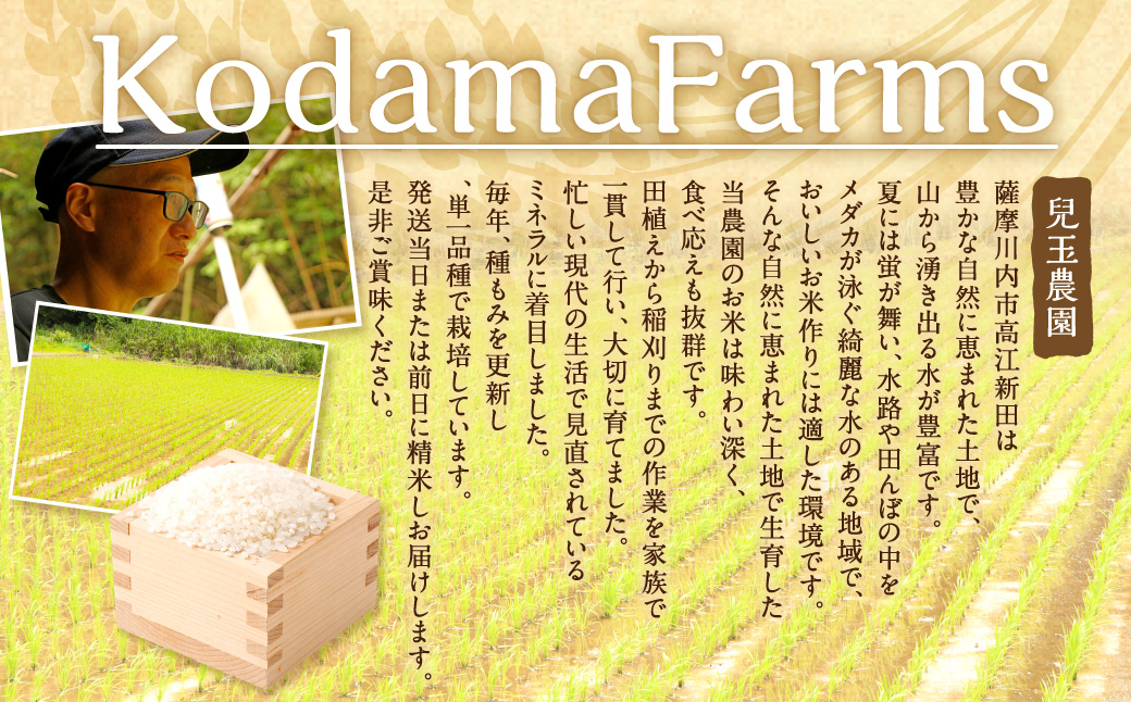【奇数月6回定期便】【新米先行予約】【KODAMAFARMS】あきほなみ 5kg（計30kg） KODA米  精米 米 お米 定期 奇数月 【2026年1月以降 奇数月に順次発送】GS-613