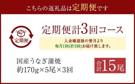 JS-224【3カ月定期便】 九州産うなぎ蒲焼 約170g×5尾×3回