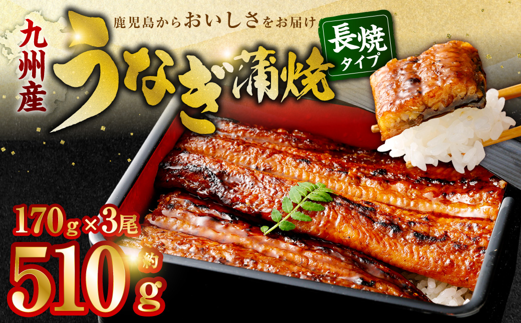 BSR-338 九州産うなぎ蒲焼 3尾 食べごたえある3人前