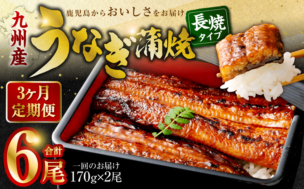 【3カ月定期便】 九州産うなぎ蒲焼 約170g×2尾×3回 DS-605　
