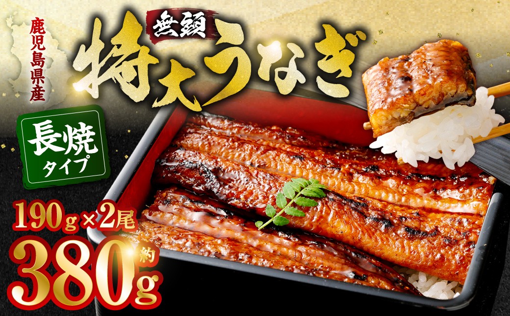 AS-840 鹿å
å³¶çç£ç¡é ç¹å€§ããªãè²çŒçŽ190gÃ2å°ŸãåèšçŽ380g é£ã¹ããããã2人å