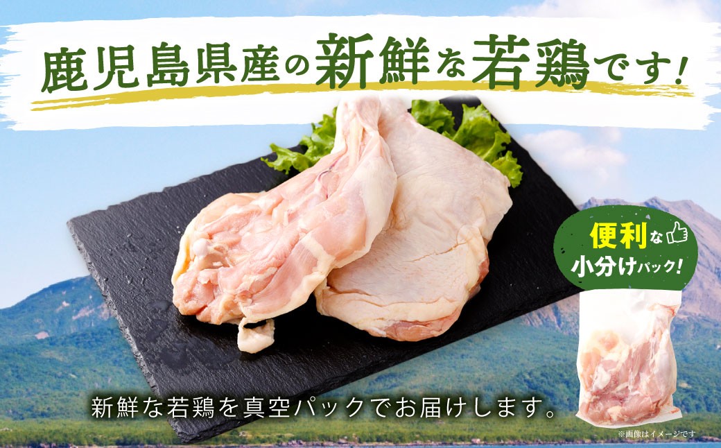 鹿児島県産 骨付きもも 10本セット 若鶏 骨付き 骨付鳥 もも肉 モモ肉 鶏肉 冷凍 AS-4100