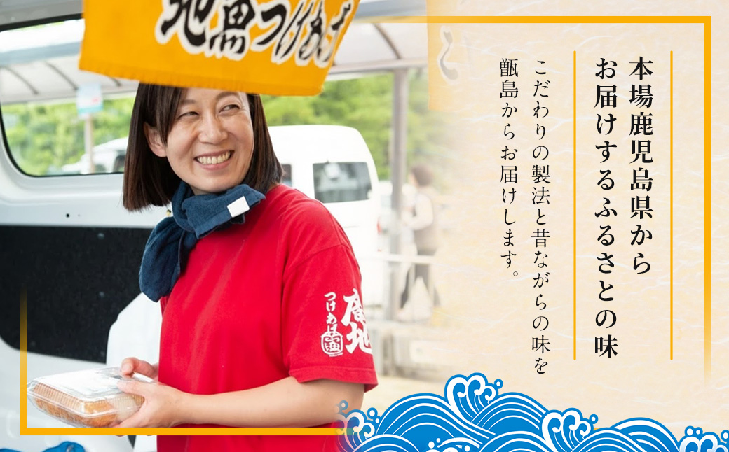 鹿児島の味 プリプリ食感のさつま揚げ 5種 さつまあげ さつま揚げ つけあげ つけ揚げ 地魚 すり身 おやつ おつまみ ZSR-605