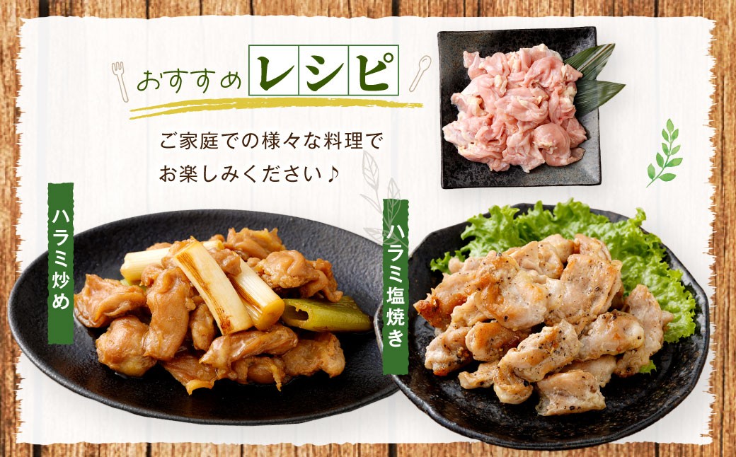 鹿児島県産 若鶏 ハラミ 約3kg セット 鶏ハラミ 鶏肉 鶏 冷凍 AS-895