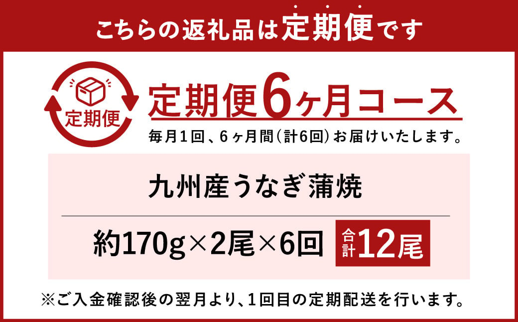 IS-210【6カ月定期便】九州産 うなぎ蒲焼 (約170g×2尾 6回) 計12尾 うなぎ 蒲焼 鹿児島県 薩摩川内市