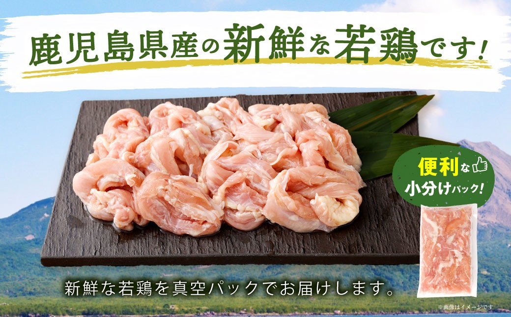 鹿児島県産 若鶏 小肉 （せせり）約3kg セット セセリ 鶏肉 冷凍 BS-399
