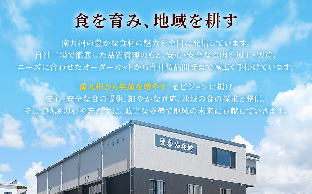 GSR-033 【隔月6回定期便】鹿児島県産黒豚 大容量小分けパック切り落とし 合計12kg（2kg×6回） 黒豚 黒豚切り落とし 切り落とし 豚肉 ウデ肉 肩肉