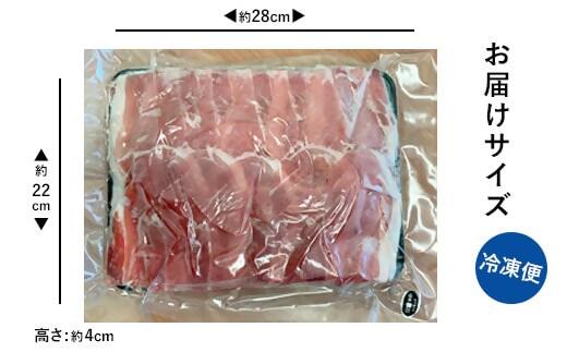 BSR-918 【訳あり】鹿児島県産 黒豚 しゃぶしゃぶ用 計3.3kg (1.1kg×3) 豚肉