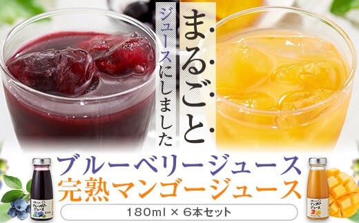 AS-338 【数量限定】ブルーベリー＆マンゴー果汁ジュース 1080g（180g×各3本）ｾｯﾄ (S-13)