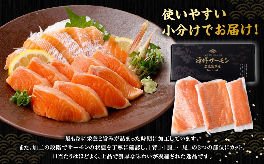 薩州サーモン 500g 鹿児島 国産 養殖 サーモン  AS-2228