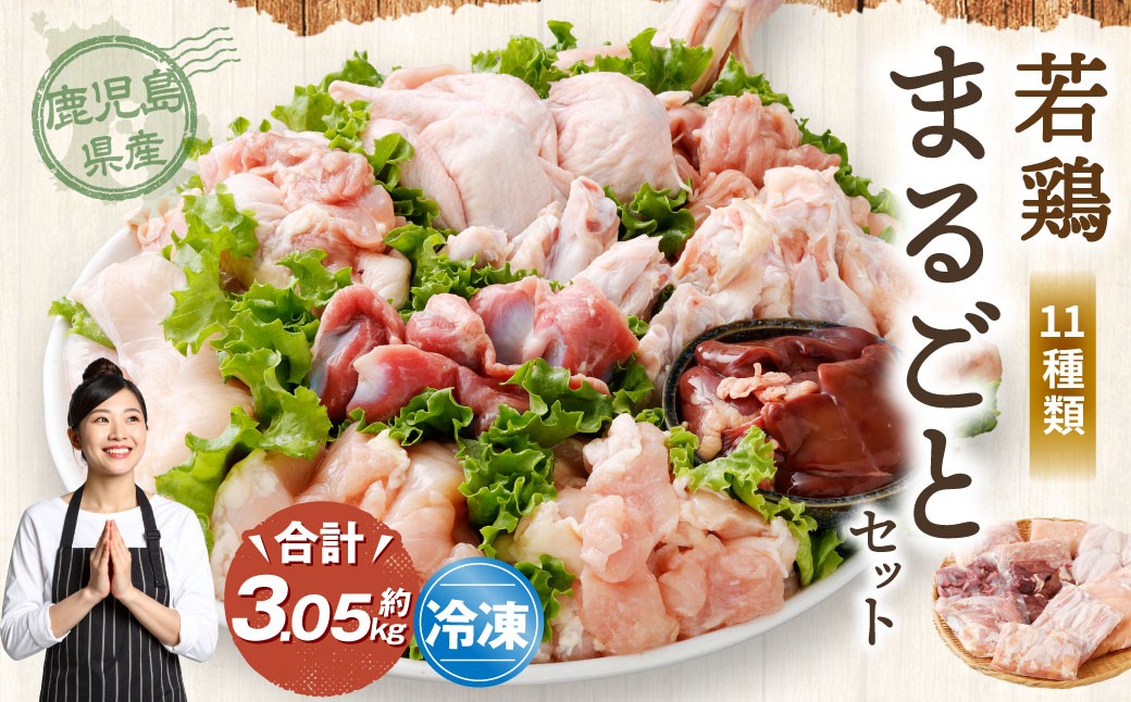 鹿児島県産 若鶏まるごと 約3.05kgセット 若鶏 もも肉 モモ肉 カット むね肉 ささみ 砂肝 肝 手羽先 手羽中 手羽元 肩肉 せせり 骨付きもも肉 小分け 鶏肉 冷凍 AS-797