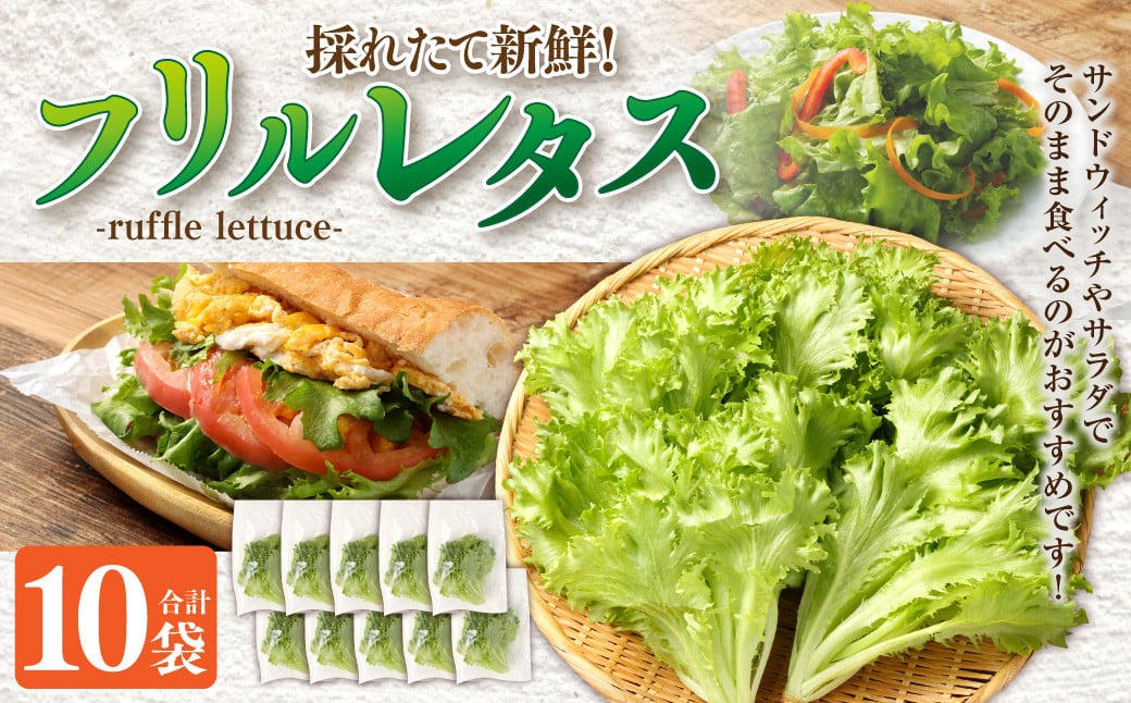 AS-0125 フリルレタス 10袋セット フリルレタス 野菜 葉物 朝採れ 新鮮