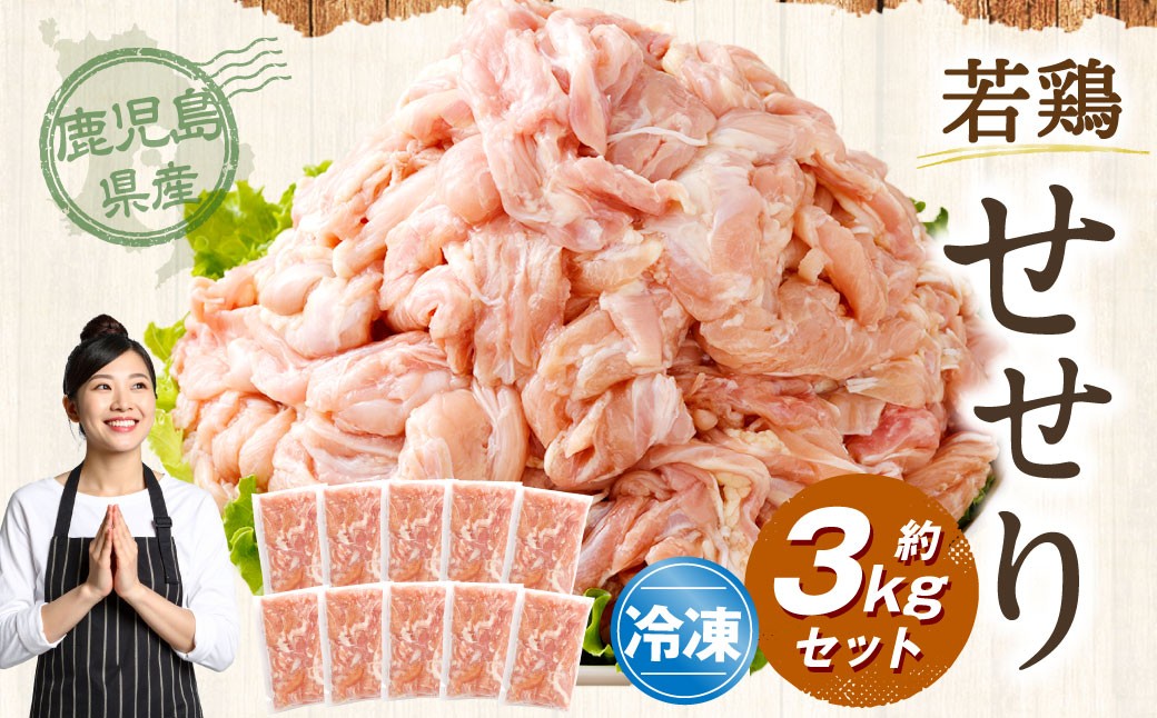 鹿児島県産 若鶏 小肉 （せせり）約3kg セット セセリ 鶏肉 冷凍 BS-399