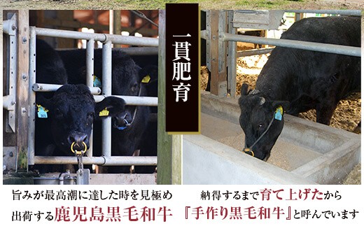 HS-104 鹿児島県産黒毛和牛ｻｰﾛｲﾝｽﾃｰｷ･すき焼きBｾｯﾄ 名産鹿児島和牛かんだ本店