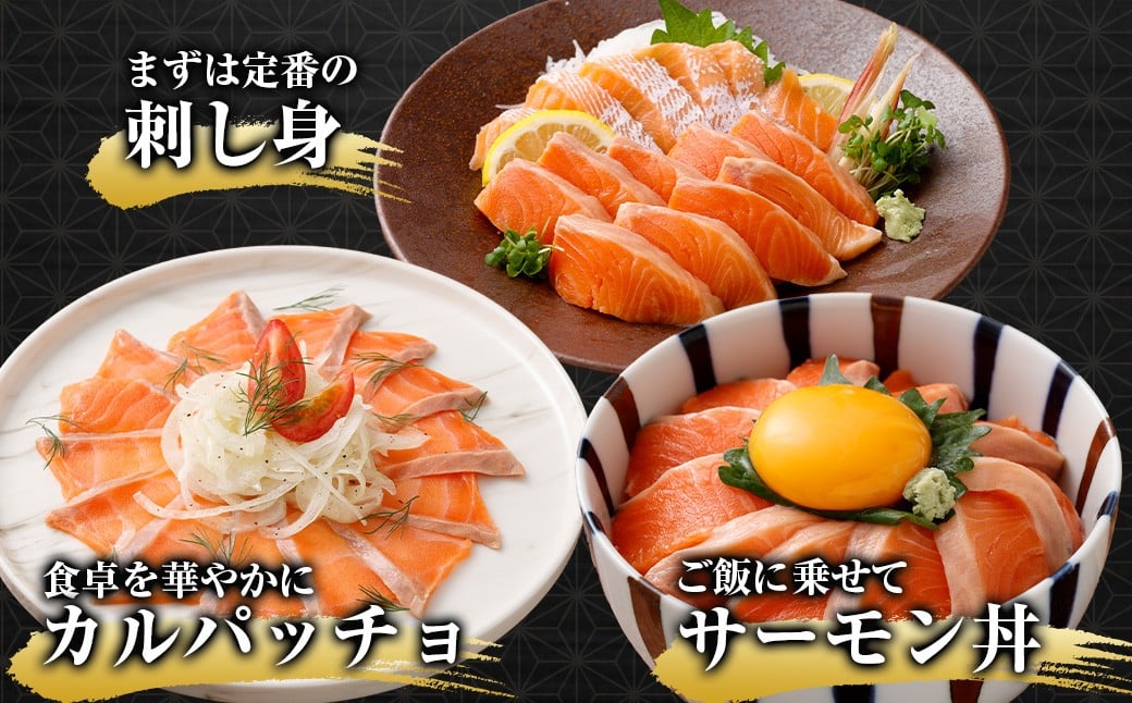 薩州サーモン 500g 鹿児島 国産 養殖 サーモン  AS-2228