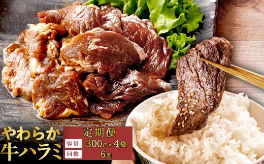 【6回定期便】やわらか 牛ハラミ（サガリ）肉 極旨秘伝醤油タレ漬け（300g×4袋）訳あり ハラミ 牛肉 個包装 焼肉 ES-506