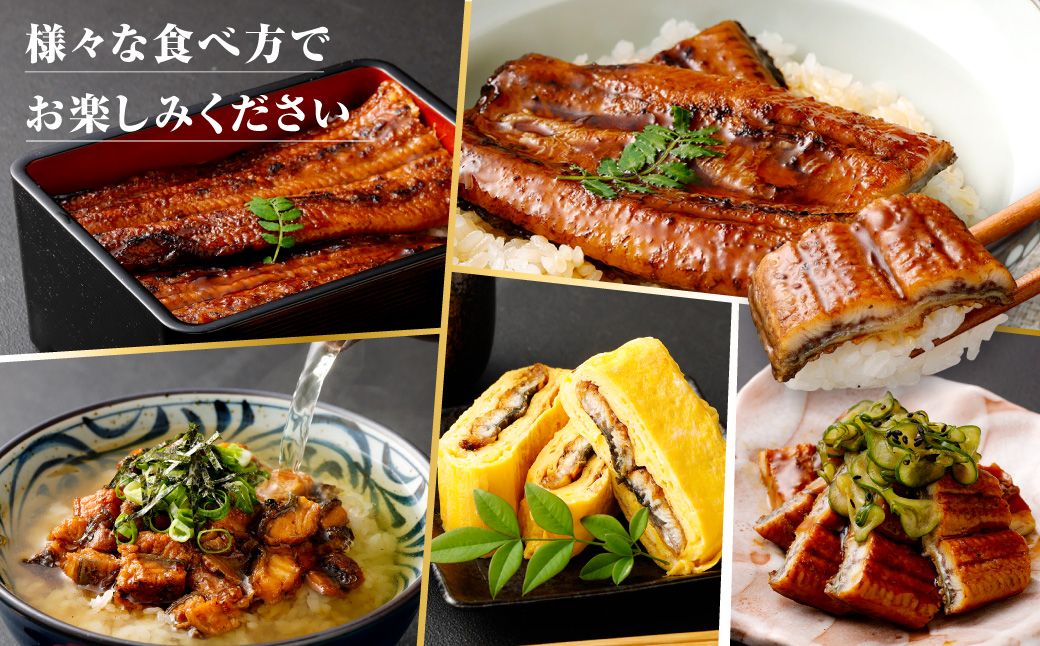 【3カ月定期便】 九州産うなぎ蒲焼 約170g×2尾×3回 DS-605　