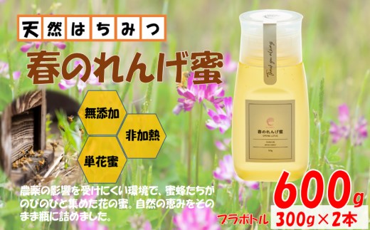 春のれんげ蜜 2本 セット 合計600g (300g×2本) 鹿児島 はちみつ 蜂蜜 れんげ蜜 鹿児島県産 薩摩川内市 東郷町 ふるさと納税 ASR-8108