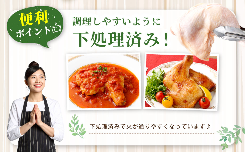 鹿児島県産 骨付きもも 10本セット 若鶏 骨付き 骨付鳥 もも肉 モモ肉 鶏肉 冷凍 AS-4100