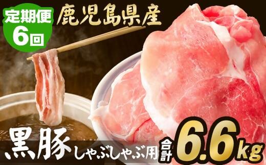 FSR-006【定期便】鹿児島県産 黒豚 しゃぶしゃぶ用 1.1kg×6回 計6.6kg 豚肉