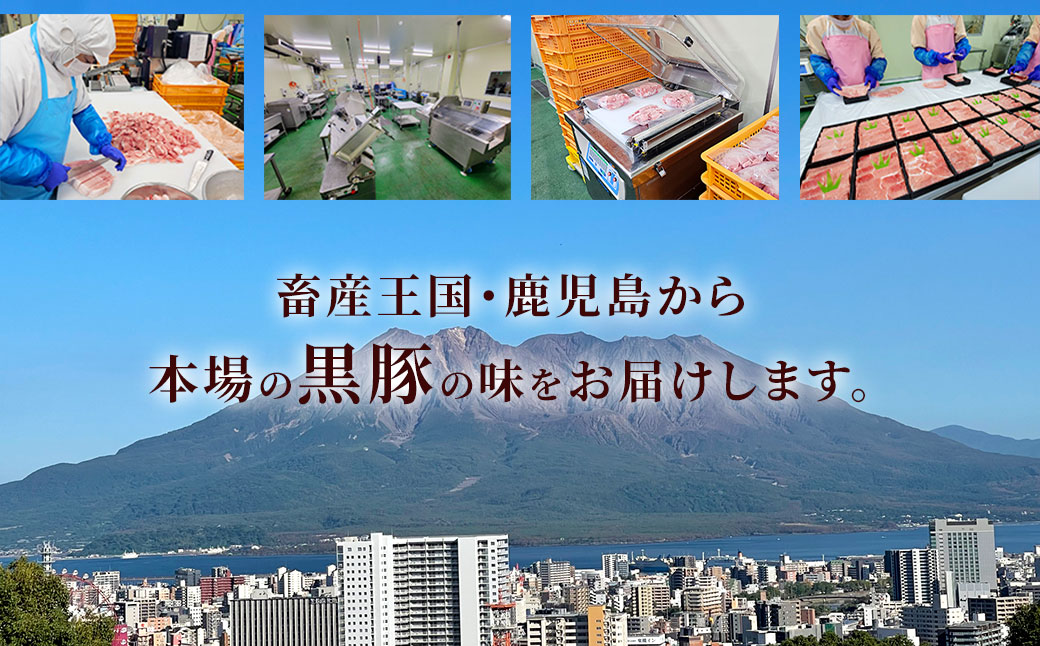 JSR-415 【12ヶ月定期便】鹿児島県産黒豚 大容量小分けパック切り落とし 合計24kg（2kg×12回） 黒豚 黒豚切り落とし 切り落とし 豚肉 ウデ肉 肩肉