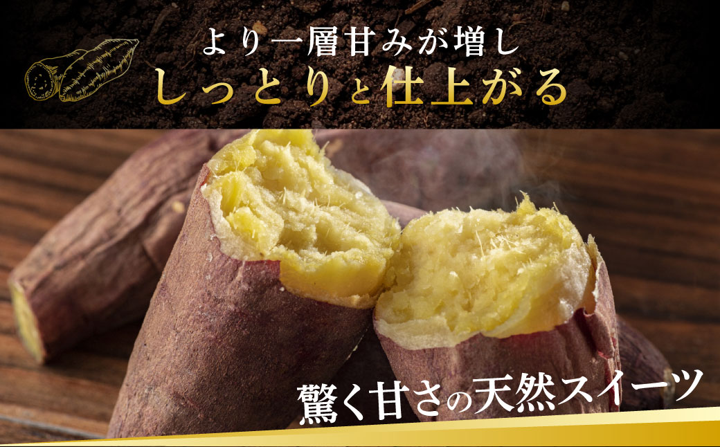 Z-593 鮖ソ蜈仙ウカ逵檎肇邏縺ッ繧九°蜀キ蜃咲┥縺崎葛 テ3陲