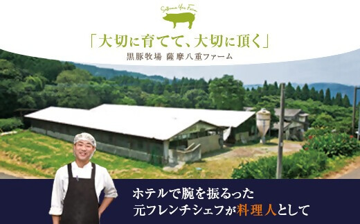 JS-232 かごしま黒豚ロース肉厚切り（とんかつ・ステーキ用） 1kg×隔月6回定期便