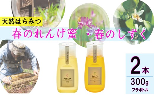 春のれんげ蜜・春のしずく2本セット 合計600g(300g×各1本) れんげ蜜 百花蜜 鹿児島 はちみつ 蜂蜜 鹿児島県産 薩摩川内市 ふるさと納税