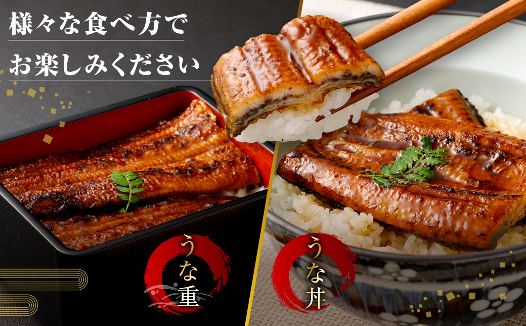 AS-840 九州産うなぎ蒲焼 2尾 食べごたえある2人前