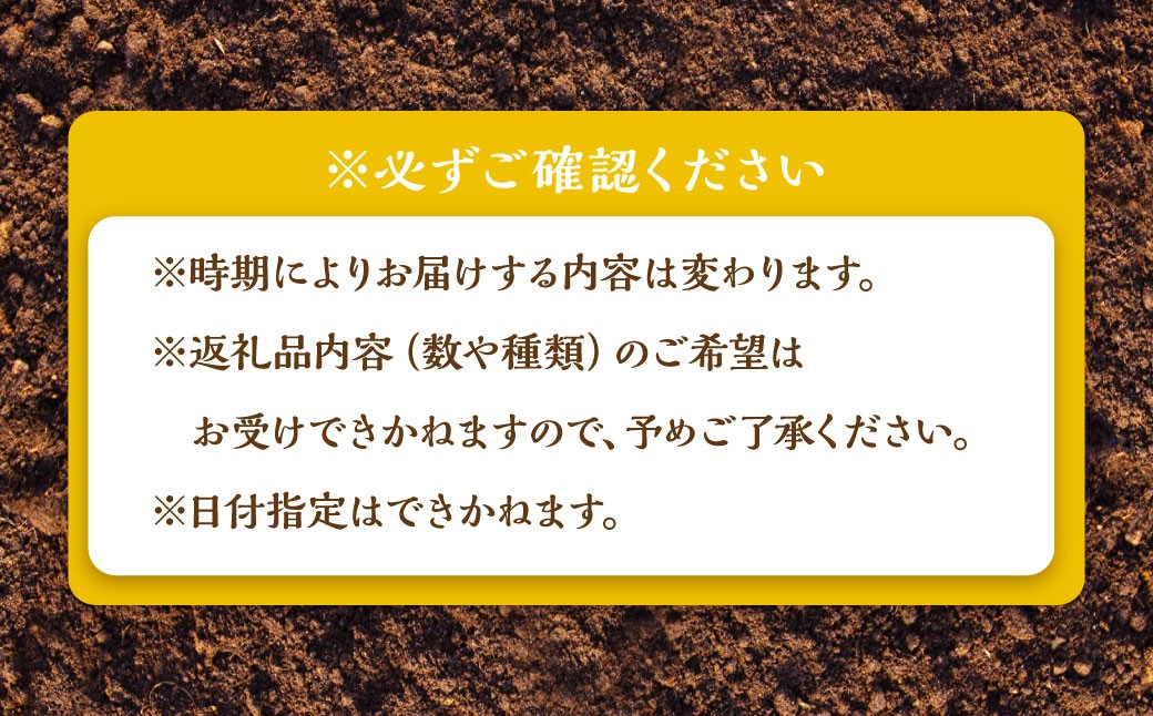 鹿児島県産 季節のお野菜詰め合わせ 10～12品目 野菜 詰め合わせ 新鮮 旬 新鮮野菜 AS-2258