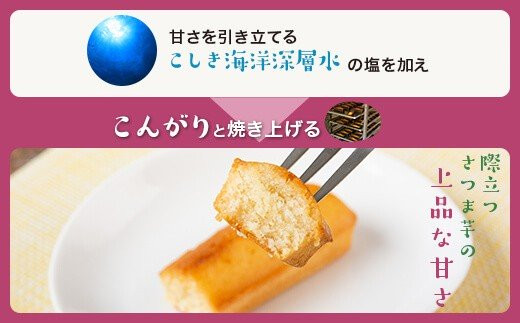 ZS-505 安納芋蜜 フィナンシェ 10本入  焼き菓子 安納芋