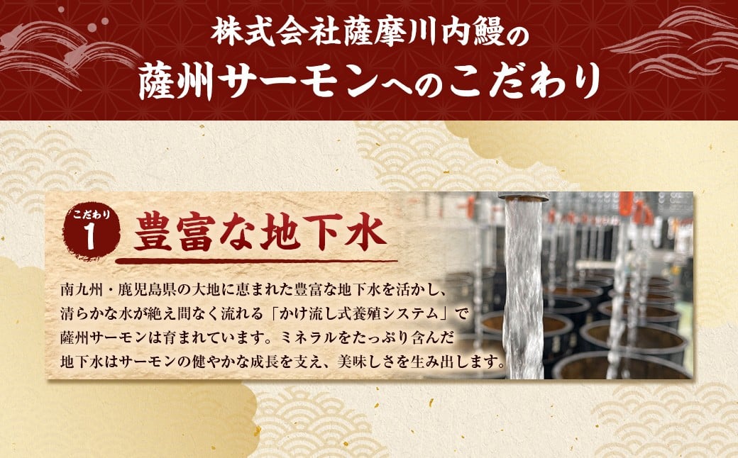 薩州サーモン 500g 鹿児島 国産 養殖 サーモン  AS-2228