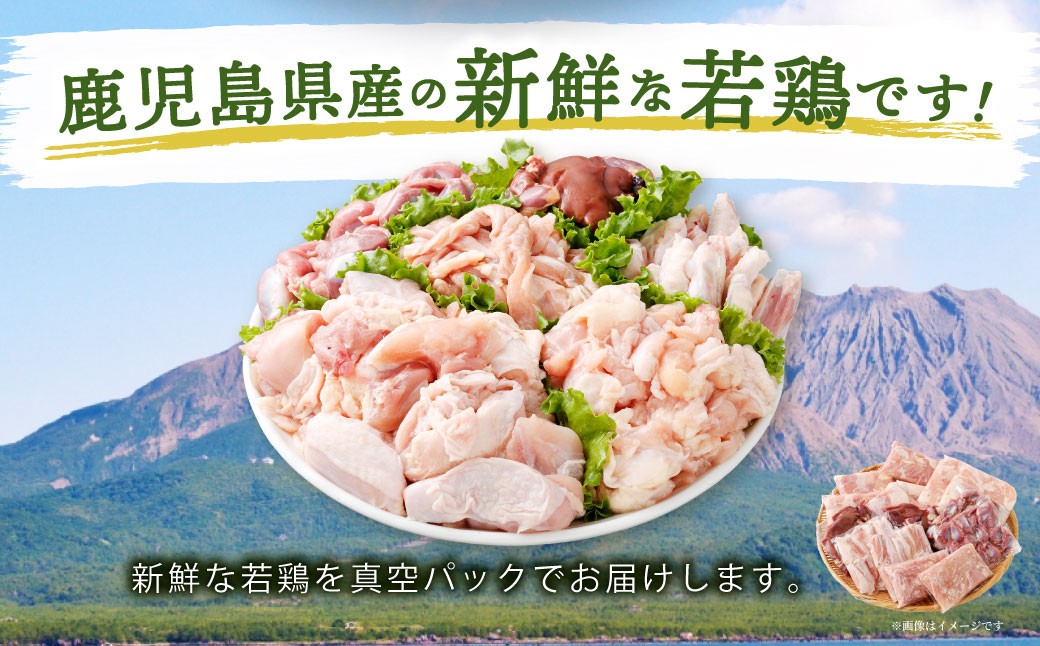 鹿児島県産 若鶏焼肉 約4.2kgセット 若鶏 もも肉 モモ肉 カット 肝 砂肝 手羽中 せせり 焼肉 小分け 鶏肉 冷凍 BS-226
