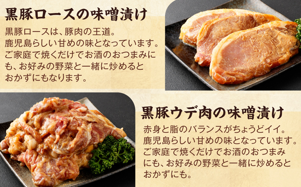 AS-540 ããæ¥œãã¿çŠè¢Cãé»è±ã䜿çšããåãå¿
ã2ã€ä»¥äžå
¥ãïŒïŒå以äž